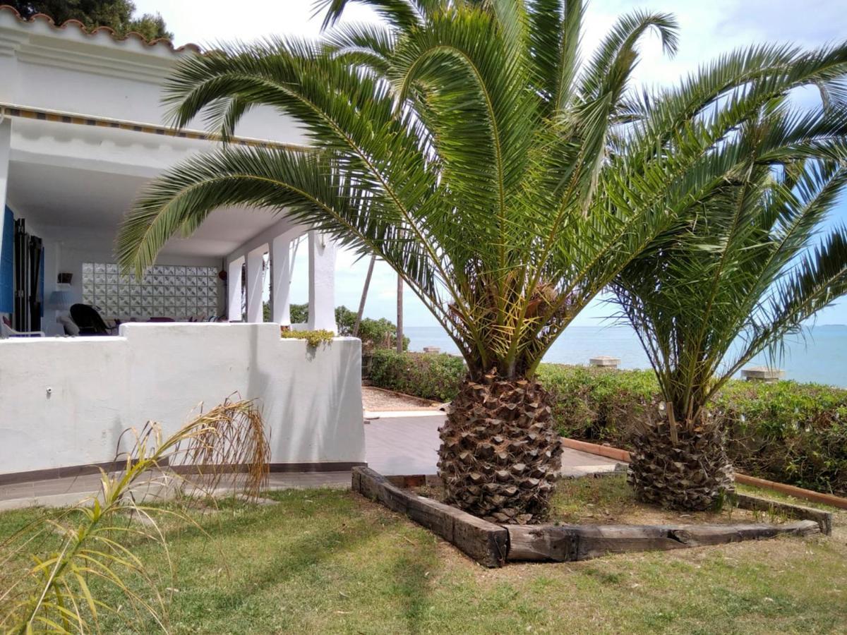 Sargantana Blava Villa Sant Carlos de la Ràpita Exteriör bild
