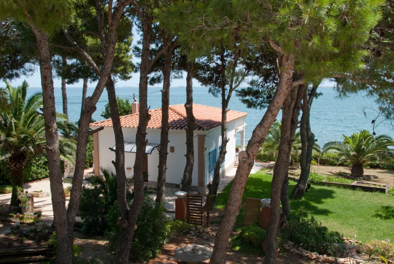 Sargantana Blava Villa Sant Carlos de la Ràpita Exteriör bild